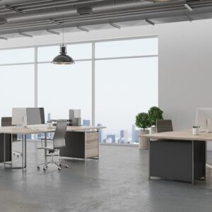 Registered + Business + Director Address